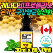 성인 구강 향균 비프로폴리스 BEEPROPOLIS 리퀴드 스포이드 고함량 플라보노이드 FLAVONOID 환절기 간절기 입이 텁텁할때 20대 30대 40대 50대 직장인 회사원