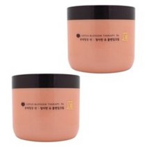 2개)과일나라 본체청정 연 청아한 유 클렌징 크림300g, 300g, 선택없음