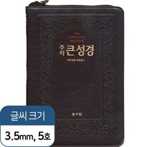 주석 큰성경 중 초코 새찬송가 (정 46판)