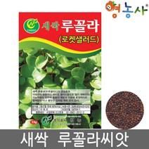 새싹 루꼴라 씨앗 15g, 1개