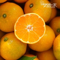 23년 첫출하 햇 하우스 감귤 제주직송 사이즈별