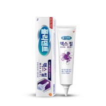 의치접착 의치부착 틀이접착 틀니접착크림 틀니접착제 의치 부착재 폴리덴트 맥스 씰 70g