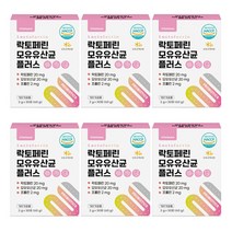 락토페린 프롤린 모유 유래 유산균 분말 가루 스틱, 6개, 30포