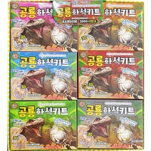 (세모놀이터)화석발굴키트 랜덤발송 공룡 곤충 행성 탐험 티라노 뼈발굴 교구 과학실험 발굴 어린이집 유치원 초등 선물세트 도로시팬시, 04. 곤충화석발굴키트