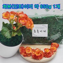 (샤인몰) 화분(초록)이끼 대용량 약650g 1개 /화분갈이/인테리어소품/분재/생화 조화 장식