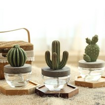 아로마코 선인장 디퓨저 천연 석고 방향제 고급 아로마 집들이 선물 실내 인테리어 화장실, 잉글리쉬가든