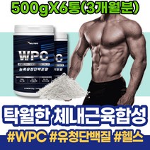 프로틴 맛있는단백질쉐이크 근육량늘리기 아침대용 단백질보충제WPI 살찌우기 운동후프로틴 단백질보충제추천 게이너 wheyprotein 아빠 코스트코 근육감소증 WPI 여자 회사원
