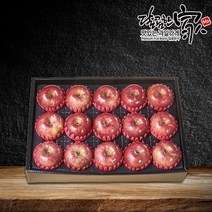 경북 청송APC 명산지 사과 선물세트 5kg 17~19과(개당 278g이상), 단품