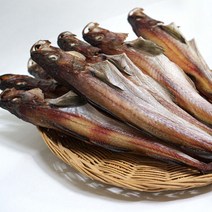 속초 중앙시장 맛집 반건조 코다리 41cm, 단품
