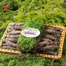 제주 더덕 선물세트 2호 2kg, 단품