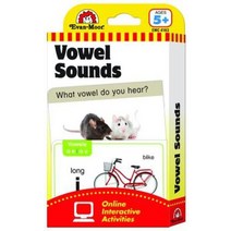 EM 4163 Flash Cards: Vowel Sound, Evan-Moor Educational Publis.., 9781609639419