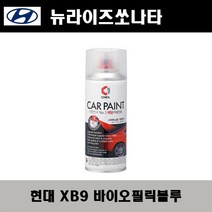 현대 뉴라이즈쏘나타 XB9 바이오필릭블루 주문스프레이 자동차 도색 차량용 카페인트, XB9 바이오필릭블루 스프레이(제일)
