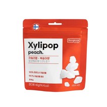 코스트코 자일리팝 복숭아 퓨어 민트 캔디 사탕 40g x 6봉