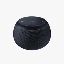 삼성 갤럭시 홈 미니 AKG Home Mini 휴대용 스피커, 삼성 갤럭시 홈 미니 스피커
