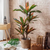 아가베 아테누아타 무늬 레인보우 인조목 조화 나무 거실 인테리어 화분 시들지않는 그린 인테리어 식물, 1.6m 아가베 아테누아타_5개 머리