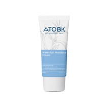 아토비케이 워터풀 모이스처 수분 크림 80ml, 1개