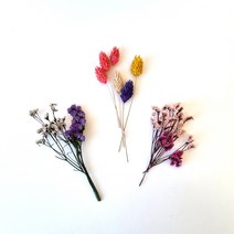 포장용 프리저브드/드라이 프리저브드 플라워 청첩장 답례품 선물 포장, 미스티(네츄럴)_4g