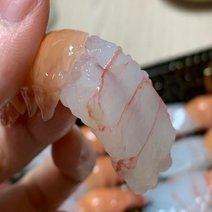 단독[책임박정인] - 횟감용 딱새우, 생물 횟감용 딱새우