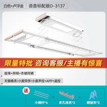 자동 미니 스텐 베란다 행주 대형 굿 마담 전동 빨래건조대 히든폴딩 스마트 리프트 쿨링, 05 D3137화이트루브골드음성옷이 말려 설치