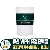 류신 WPH 유청단백질 WPC 유청농축단백 프로틴 분말 함유, 560g, 1팩