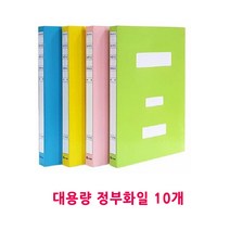 영오산업 대용량 종이 컬러정부화일 10개, 연두
