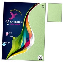 어린풀색 칼라색지 10매 용지 A4 160g 프린트 1권 상품권 간지 면지 애뉴얼리포트 메뉴판DC_, 본상품선택