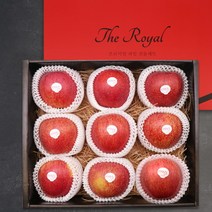 [예손연우] 고당도 프리미엄 엔비사과 9과 선물세트 2.4kg, 상세 설명 참조