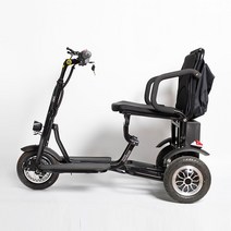 전기 세발자전거 3발 자전거 노인용 어르신 삼륜 세발 어른 접이식, 48V, 탈착식배터리모델(촬영전고객서비스에문의)