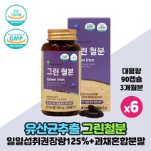 철분 영양제 비헴철 비햄철 철분제 Green Iron 임산부 수유부 여성 남성 임신준비 어린이 청소년 성장기 철분섭취 애플트리김약사네 그린 철분 건강기능식품, 90캡슐 x 6개