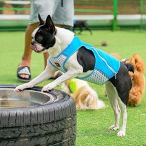 인터라켄 여름용 쿨조끼 강아지 여름의류 쿨링 베스트 워터쿨링, 베이비블루