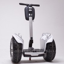 Daibot 오프로드 전기 스쿠터 19 인치 셀프 밸런싱 1200W * 2 성인용 스케이트 보드 호버 블루투스/앱 포함, 01 White