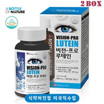 미국 직수입 10중복합 루테인 마리골드 추출물 60캡슐 눈 영양제 복합기능성 비타민 A B E 베타카로틴 나이아신 셀레늄 구리 아연, 2box, 비전 프로 루테인 2개월분