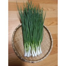 깐 쪽파 300g