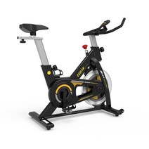 이고진 스피닝자전거 실내자전거 1101M 무소음 스핀바이크, 단일옵션