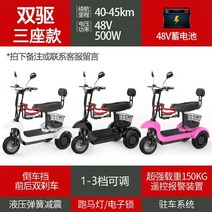 삼륜 전동 라이딩 바이크 자전거 킥보드 시장 마트, 48V 듀얼 3 인승