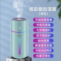 차량용공기청정기 공청정기 헤파필터 살균 시거잭 정화 기, 청색 충전/플러그인 겸용