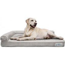 반려용품 PetFusion BetterLounge 정형외과용 강아지 침대 | 솔리드 CertiPUR-US 메모리 폼 방수 안감, Grey, one option