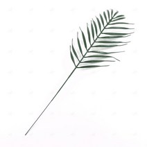 시들지 않는 야자수 조화 잎 인조 나뭇잎 잎사귀 사계절 초록빛 자연 숲 느낌 실내장식 소철잎