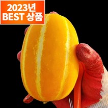 농수산특별시 산지직송 성주 고당도 꿀 참외, 2.5kg 실속형 참외 (못난이+가정용 혼합), 1박스