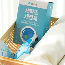 욕실의여왕 세탁조 청소 클리너 4매입 세탁기 통 세척, 100g, 1개