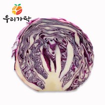 [우리가락]적양배추 12개 한박스, 단품