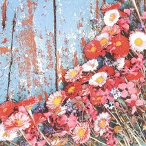 쉐비데이지 냅킨 20장 K-11-046