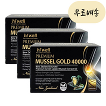 뉴질랜드 초록입홍합 오일 효능 40000 3개 청홍합 하이웰