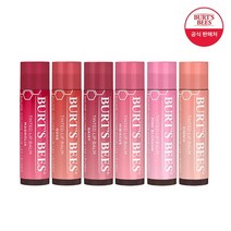 버츠비 +립밤 필로우케이스증정 틴티드립밤 립밤 1+1 6종 택2, 02_히비스커스/02_히비스커스