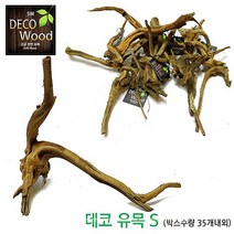 신바람 데코 유목 S 프리미엄 가지유목 약 20~25cm