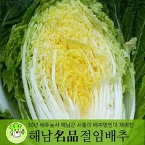 유기농절임배추 추천 순위 TOP 20 구매가이드