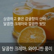 감귤향의 산미 달콤한 크레마 코스타리카 따라쥬 1kg 커피원두 원두커피, 프렌치프레스분쇄(굵은분쇄)