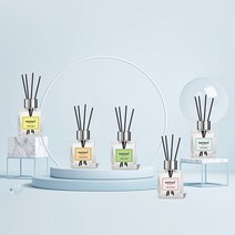 허브야 라프라쉬 리드 디퓨저 100ml 2개 세트, 03. 덴스포레스트, 01. 후레쉬라임