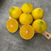 제주황금향 감귤 고당도 선별 산지직송 가정용 선물용 2kg 3kg 5kg, 황금향_가정용_중과 20-40과 / 5kg