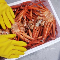 포항 구룡포 자숙 살통통 맛있는 홍게, 구룡포 연지홍게 A급 3kg